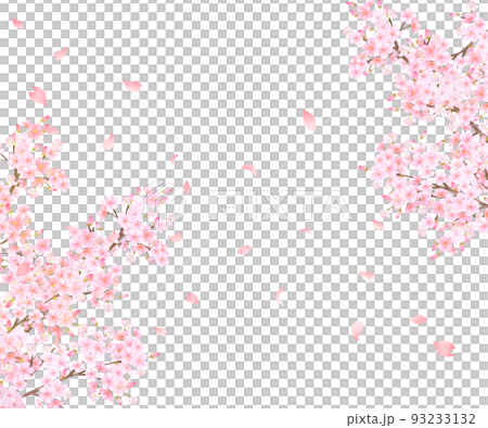 美しく華やかな満開の薄いピンク色の桜の花と花びら舞い散る春の白バックフレームベクター素材イラスト 93233132