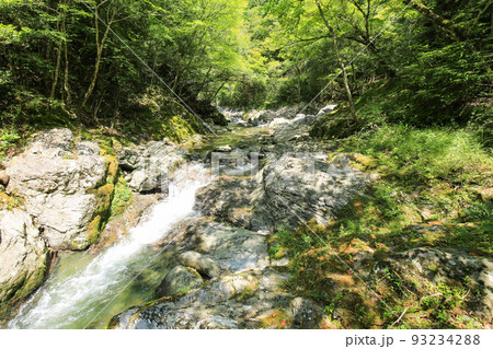 愛媛県砥部町 仙波渓谷の風景 愛媛県砥部町 仙波渓谷の風景 93234288