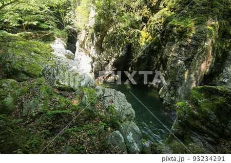 愛媛県砥部町 仙波渓谷の風景 愛媛県砥部町 仙波渓谷の風景 93234291