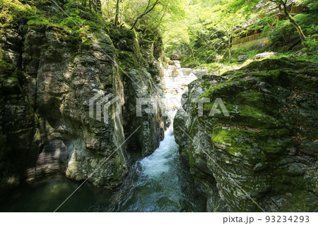 愛媛県砥部町 仙波渓谷の風景 愛媛県砥部町 仙波渓谷の風景 93234293