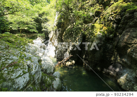 愛媛県砥部町 仙波渓谷の風景 愛媛県砥部町 仙波渓谷の風景 93234294