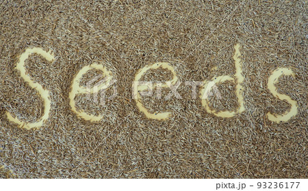 Seeds lettering written with a finger on the seeds of the lawn grass as a background. Natural background. 93236177