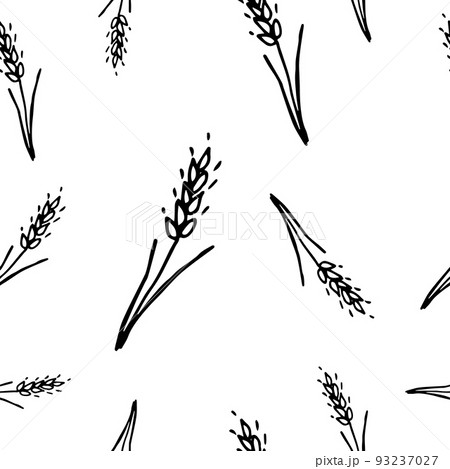 Pattern of wheat spikelets on a white background. Pattern of wheat spikelets on a white background. 93237027