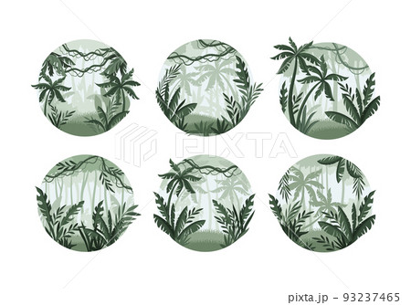 Exotic Tropical Rainforest Landscape with Palm Trees Vector Set Exotic Tropical Rainforest Landscape with Palm Trees Vector Set 93237465