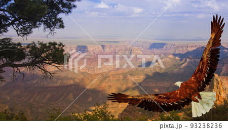 Eagle Eagle 93238236