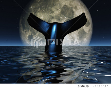 Whale tail Whale tail 93238237