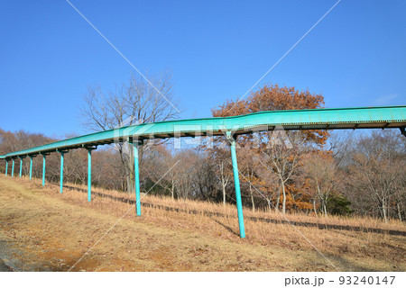 北山公園　2021-12-12　＃13 93240147