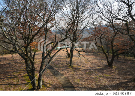 北山公園　2021-12-12　＃22 93240397
