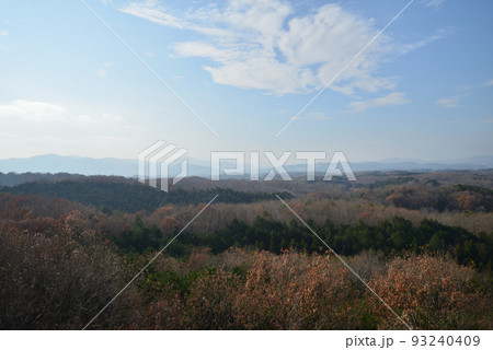 北山公園 2021-12-12 #27 北山公園 2021-12-12 #27 93240409