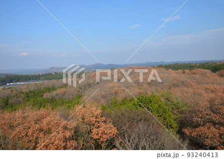 北山公園 2021-12-12 #29 北山公園 2021-12-12 #29 93240413