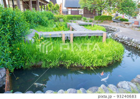 白井宿　自然と歴史の里　庭園　道の駅こもち　初夏の風景　渋川市 93240683
