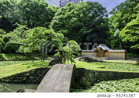 東京都 小石川後楽園 唐門の池(内庭)と睡蓮 国の特別史跡 東京都 小石川後楽園 唐門の池(内庭)と睡蓮 国の特別史跡 93241387
