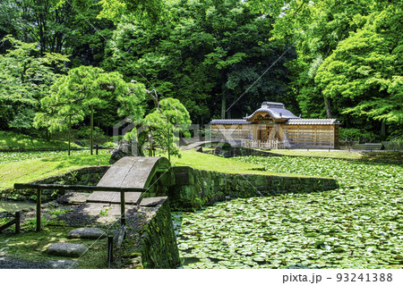東京都 小石川後楽園 唐門の池(内庭)と睡蓮 国の特別史跡 東京都 小石川後楽園 唐門の池(内庭)と睡蓮 国の特別史跡 93241388