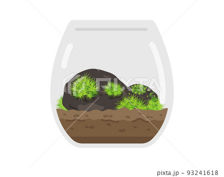 苔テラリウムのイラスト 93241618