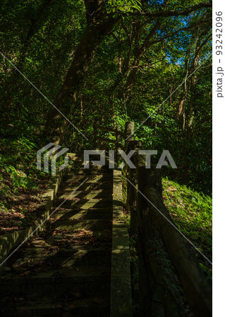 朝の木漏れ日が差す階段2 93242096