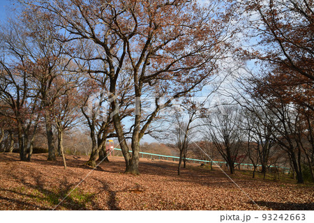 北山公園 2021-12-12 #47 北山公園 2021-12-12 #47 93242663
