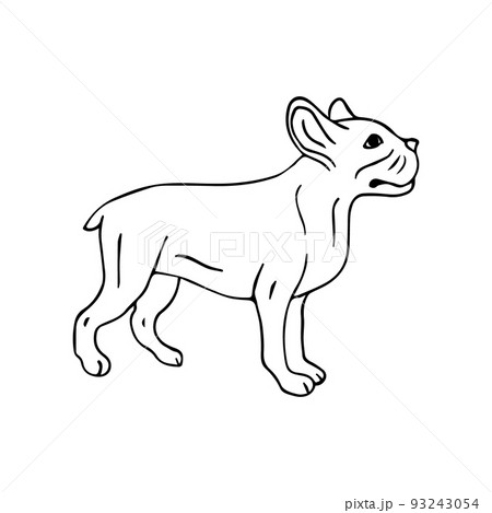 Vector hand drawn doodle sketch french bulldog Vector hand drawn doodle sketch french bulldog 93243054