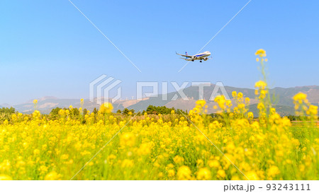 うららかな春空・阿蘇山を背景に菜の花畑と航空機風景 うららかな春空・阿蘇山を背景に菜の花畑と航空機風景 93243111