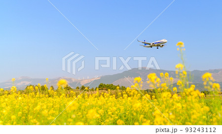 うららかな春空・阿蘇山を背景に菜の花畑と航空機風景 93243112