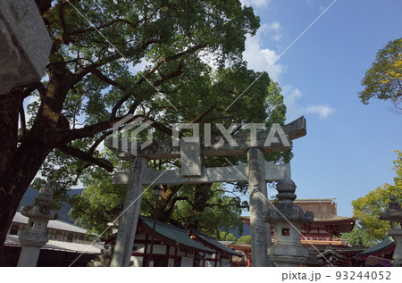 鳥居と木_大宰府天満宮 鳥居と木_大宰府天満宮 93244052