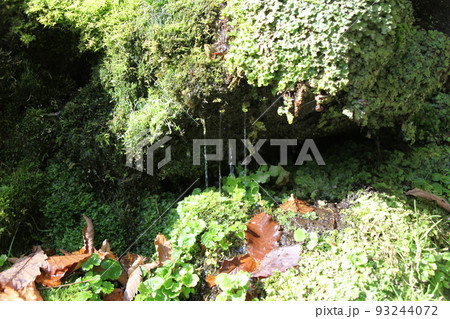 雫_ふきだし公園_京極町 93244072