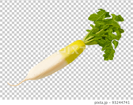大根 93244741