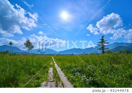尾瀬(福島県檜枝岐村)下田代の見晴地区から午後の至仏山方面を見る 93244978