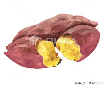 焼き芋 焼き芋 93245609