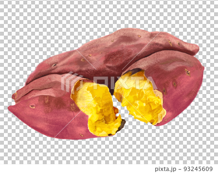  Sweet potato 93245609