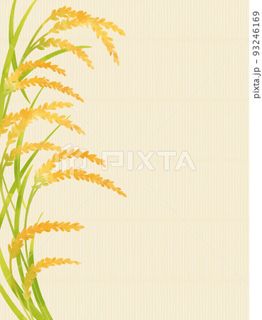 稲穂のカラーイラスト（背景あり） 93246169