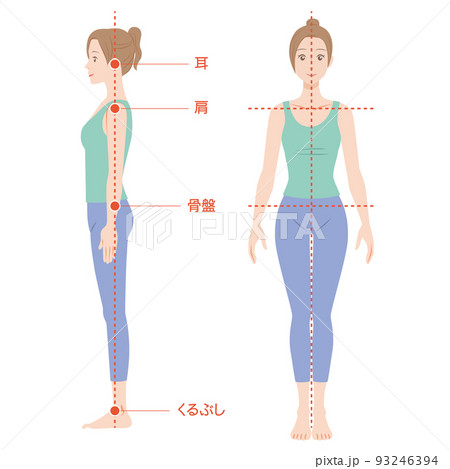 正しい姿勢の女性、全身 93246394