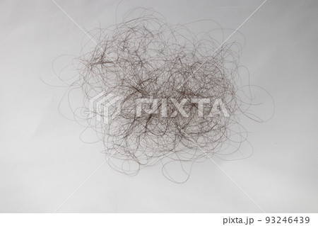 人の抜け毛 人の抜け毛 93246439