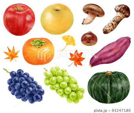 水彩イラスト  秋の味覚セット 93247180