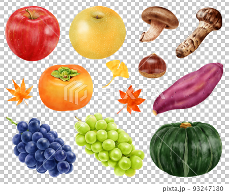 水彩イラスト  秋の味覚セット 93247180