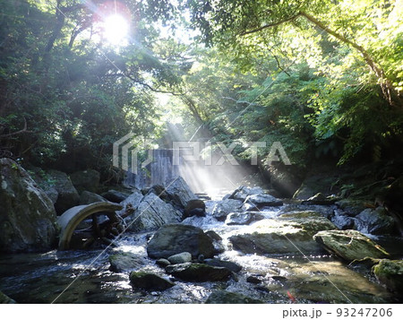 奥間川 本島北部 沖縄 おきなわ 川遊び トレッキング 奥間川 本島北部 沖縄 おきなわ 川遊び トレッキング 93247206