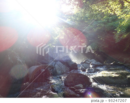 奥間川 本島北部 沖縄 おきなわ 川遊び トレッキング 奥間川 本島北部 沖縄 おきなわ 川遊び トレッキング 93247207