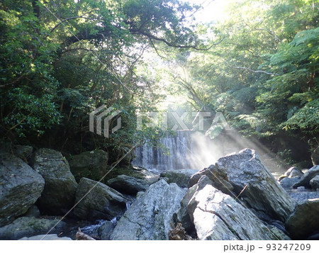 奥間川 本島北部 沖縄 おきなわ 川遊び トレッキング 奥間川 本島北部 沖縄 おきなわ 川遊び トレッキング 93247209