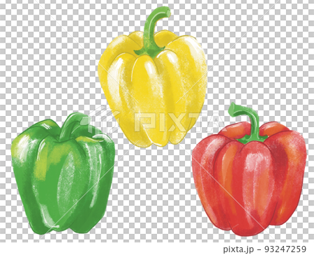 パプリカのイラスト 93247259