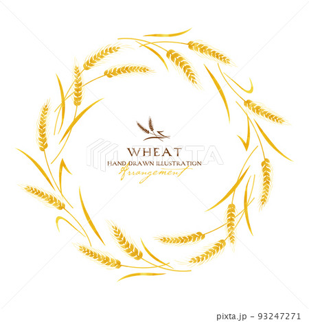 麦の水彩カラーイラスト（リース） 93247271