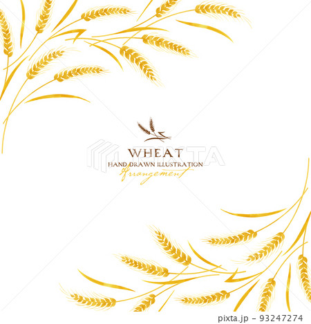 麦の水彩カラーイラスト（フレームタイトル） 93247274