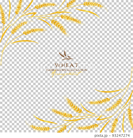 Wheat watercolor color illustration (frame title) 93247274
