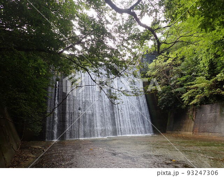 奥間川 トレッキング 沖縄北部 沖縄 川遊び 川 奥間川 トレッキング 沖縄北部 沖縄 川遊び 川 93247306