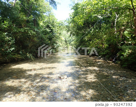 奥間川　トレッキング　沖縄北部　沖縄　川遊び　川 93247392