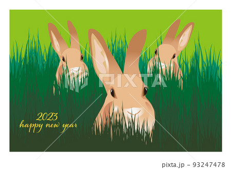 2023年うさぎ年の年賀状素材です。可愛いの野兎のイラストで使いやすいデザインです。 93247478