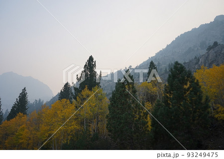 カリフォルニア州 国道395号線 シエラネバダ山脈 紅葉の景色 カリフォルニア州 国道395号線 シエラネバダ山脈 紅葉の景色 93249475