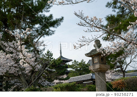 法隆寺 法隆寺 93250271