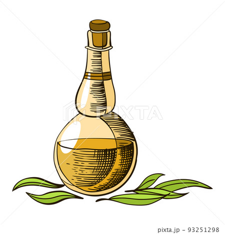 Cane sugar. Product from sugarcane plant. Engraving hand drawn natural organic food or natural ingredient. Fresh cane rum in bottle 93251298