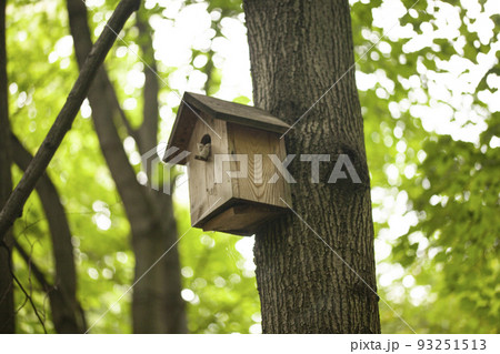 Birdhouses and bird feeder in the forest on a blurry background of greenery. Save birds. Bird feeding Birdhouses and bird feeder in the forest on a blurry background of greenery. Save birds. Bird feeding 93251513
