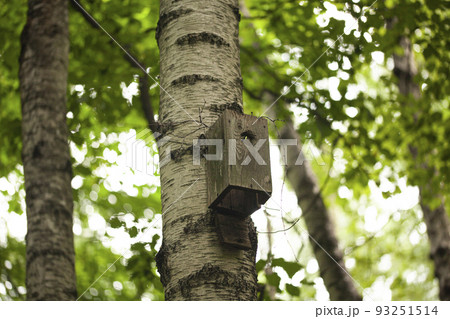 Birdhouses and bird feeder in the forest on a blurry background of greenery. Save birds. Bird feeding Birdhouses and bird feeder in the forest on a blurry background of greenery. Save birds. Bird feeding 93251514