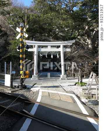 江ノ電の踏切が鳥居前にある鎌倉市の御霊神社（権五郎神社） 93251917